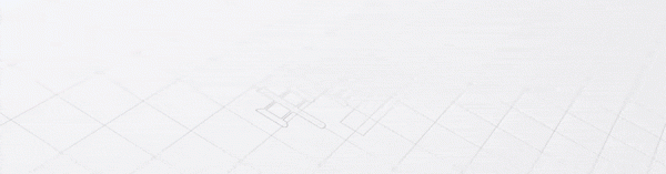 兴盛网  大涨1000%！再创新高！