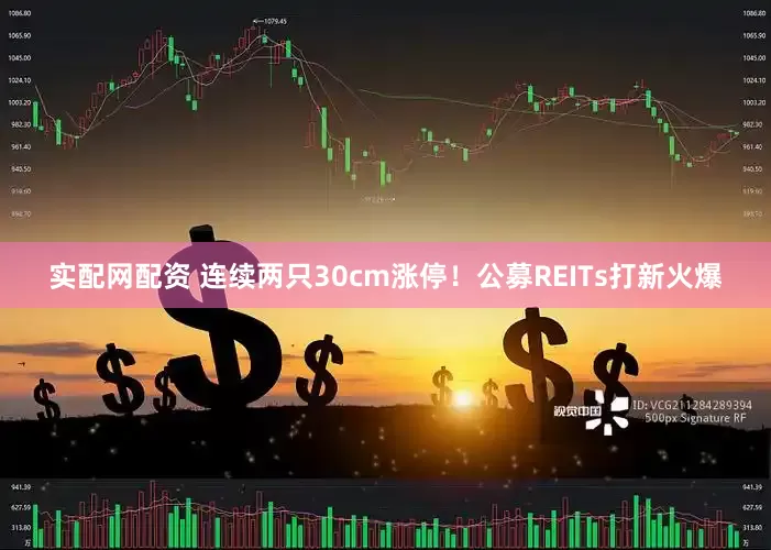 实配网配资 连续两只30cm涨停！公募REITs打新火爆