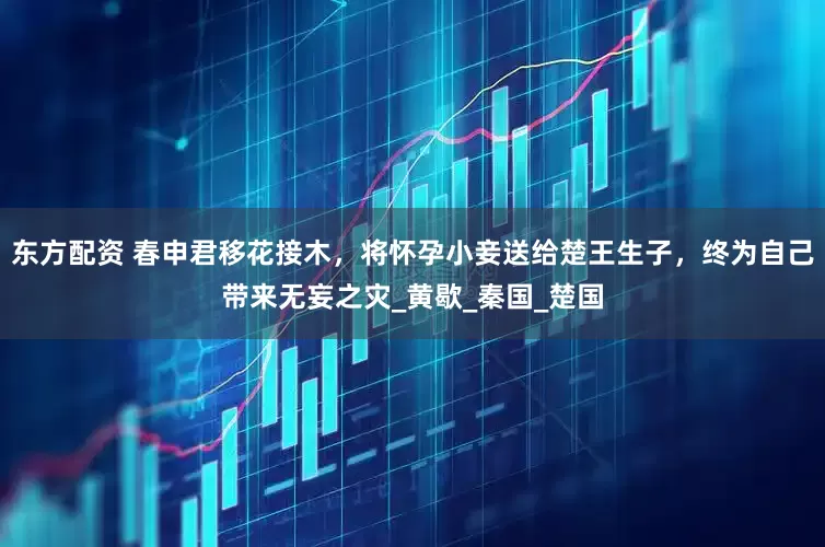 东方配资 春申君移花接木，将怀孕小妾送给楚王生子，终为自己带来无妄之灾_黄歇_秦国_楚国